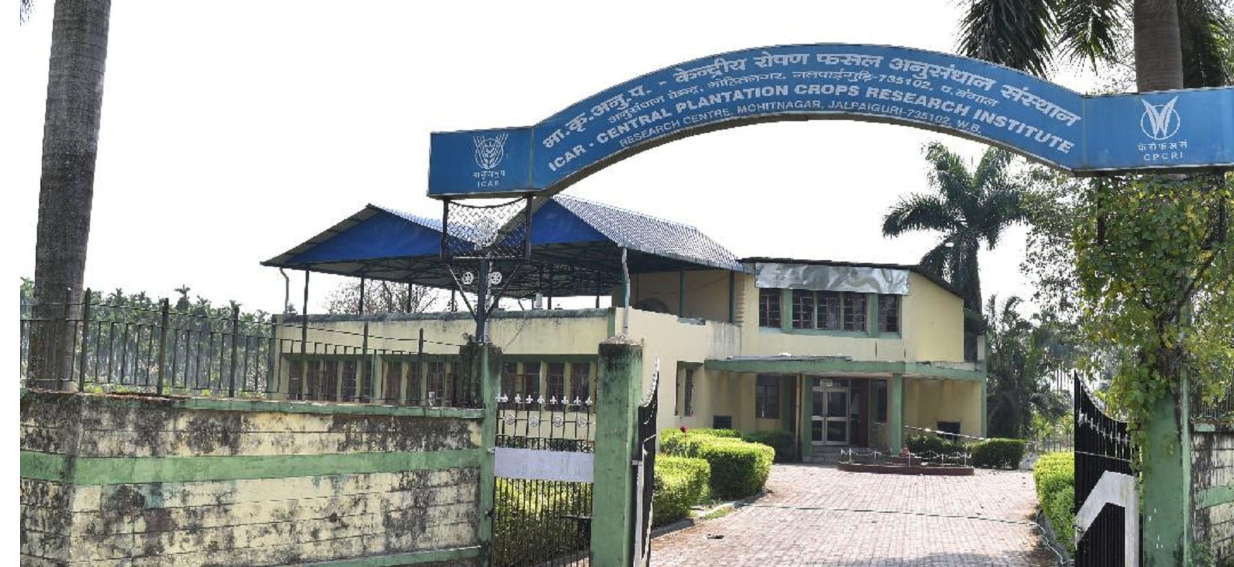 ICAR  - CPCRI Research Centre, Mohitnagar