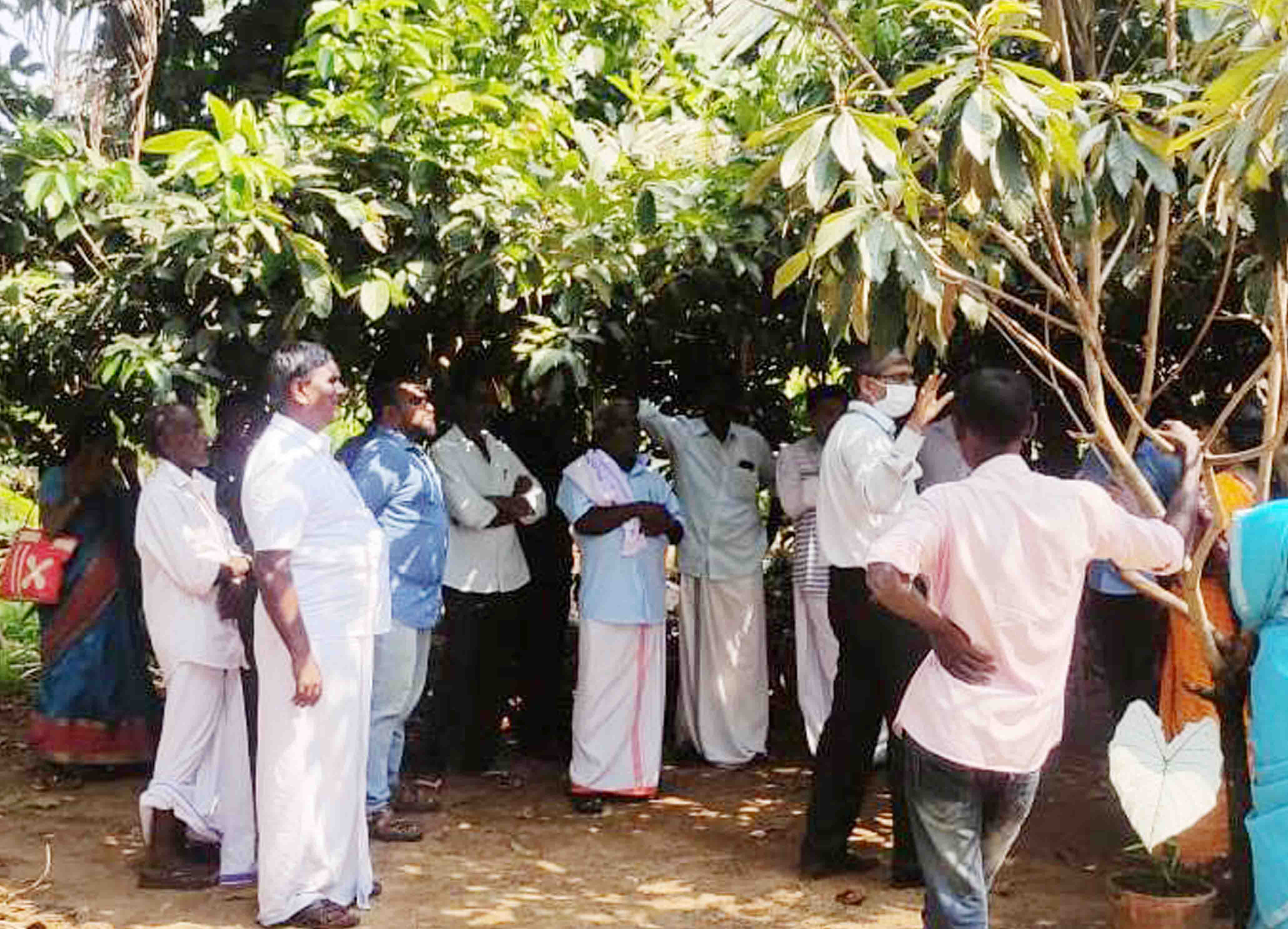 Photo for Training on Scientific Cultivation Practices of Coconut to SC Farmers from Marayur