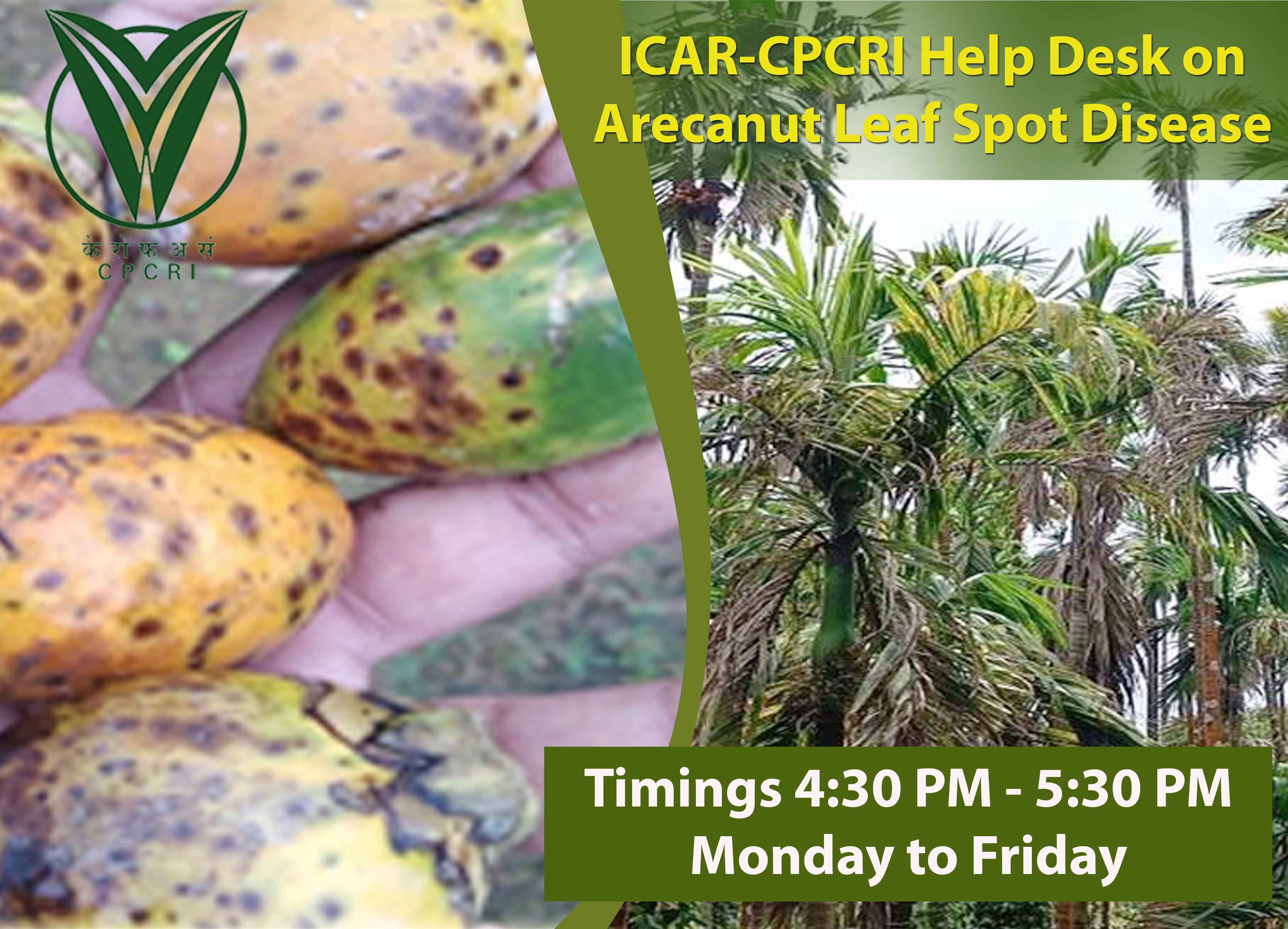 Photo for CPCRI Help Desk on Arecanut Leaf Spot Disease 